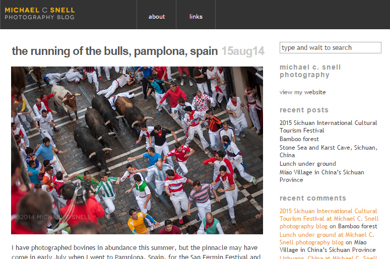 the running of the bulls, pamplona, spain michael c.snell