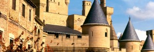 castillo tours navarra