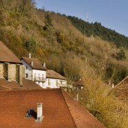 Discover the Pyrenees