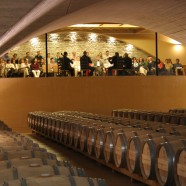 Tierra de Bodegas